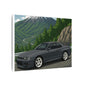 R33 Skyline Mountain Run Canvas Art (12x9)